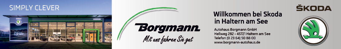 Autohaus Borgmann